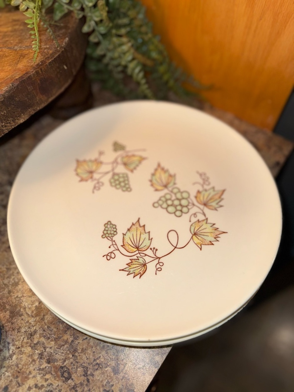 Set of 4 Taylor Smith & Taylor Colorcraft Vineyard Dinner Plates Ceramic 10" USA